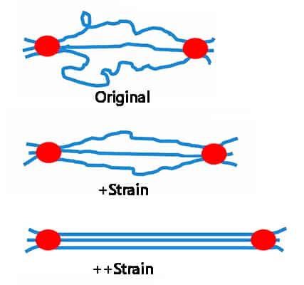 Reinforcement mechanism in LSR